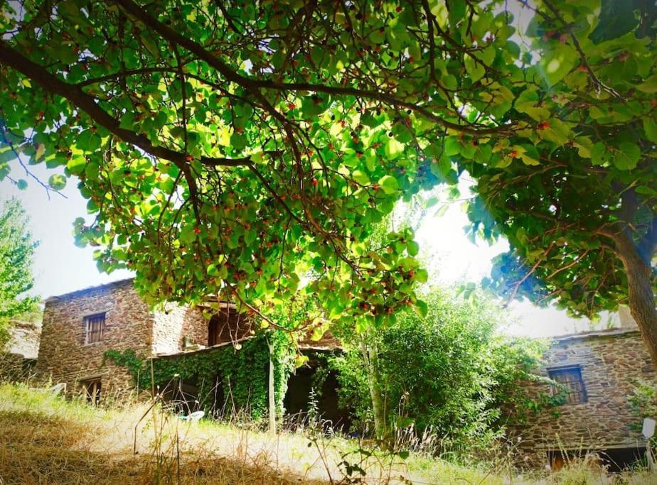 Вилла Cortijo Rural El Albercon - Capileira - Alpujarra Rural Экстерьер фото