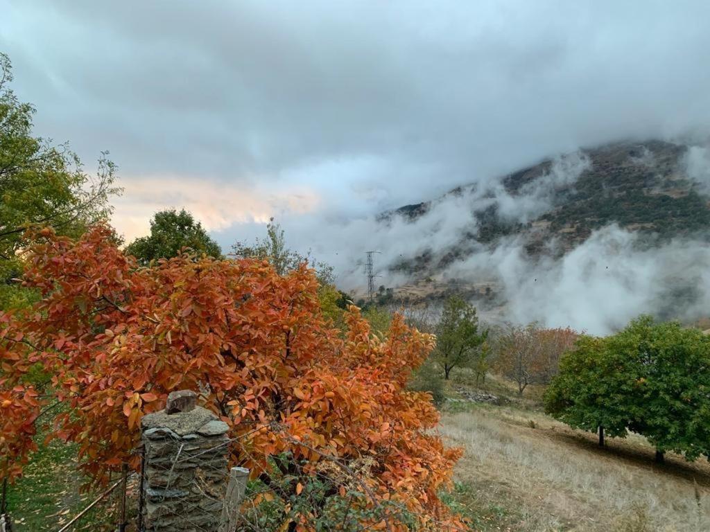 Вилла Cortijo Rural El Albercon - Capileira - Alpujarra Rural Экстерьер фото