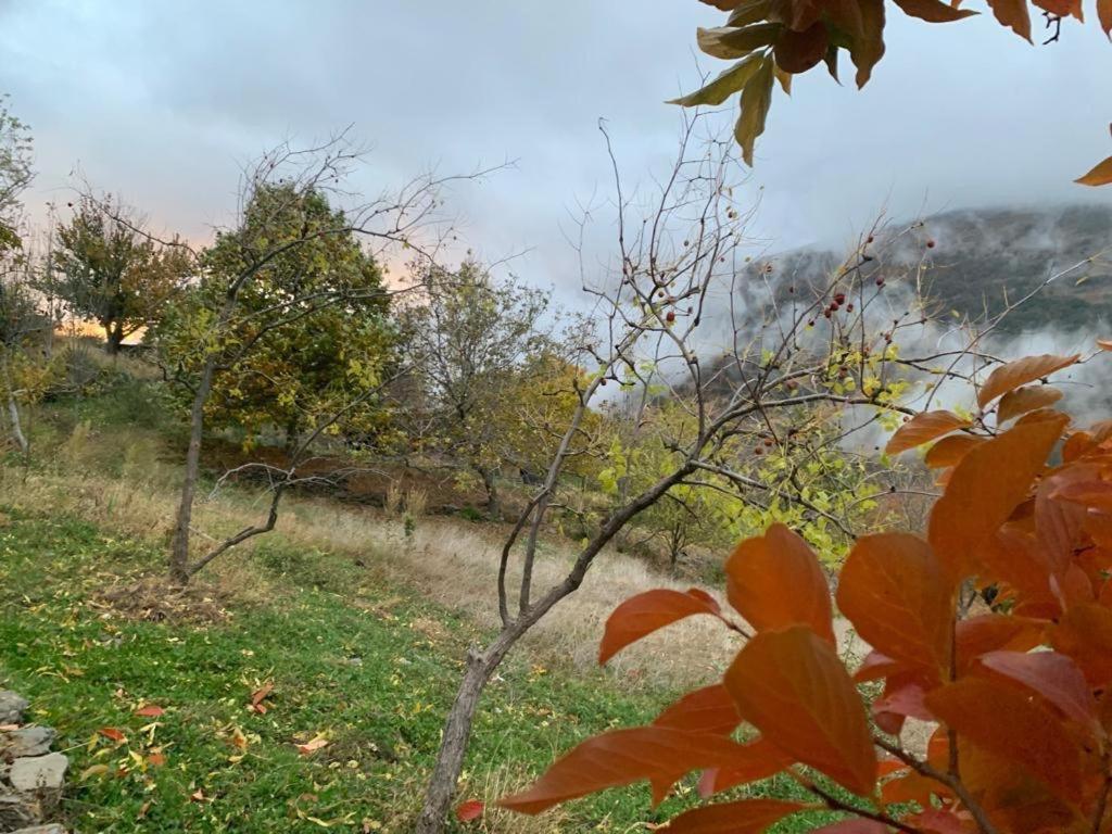 Вилла Cortijo Rural El Albercon - Capileira - Alpujarra Rural Экстерьер фото