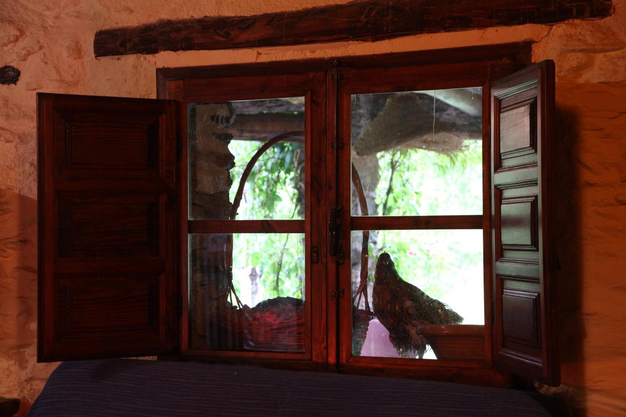 Вилла Cortijo Rural El Albercon - Capileira - Alpujarra Rural Экстерьер фото