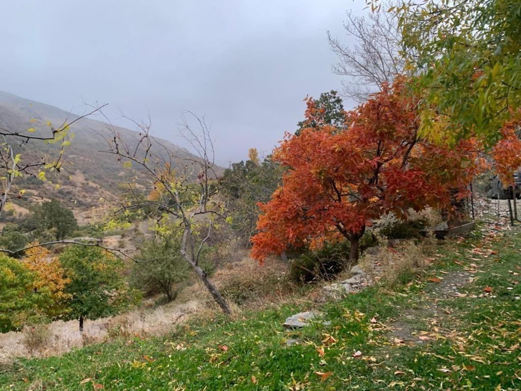 Вилла Cortijo Rural El Albercon - Capileira - Alpujarra Rural Экстерьер фото