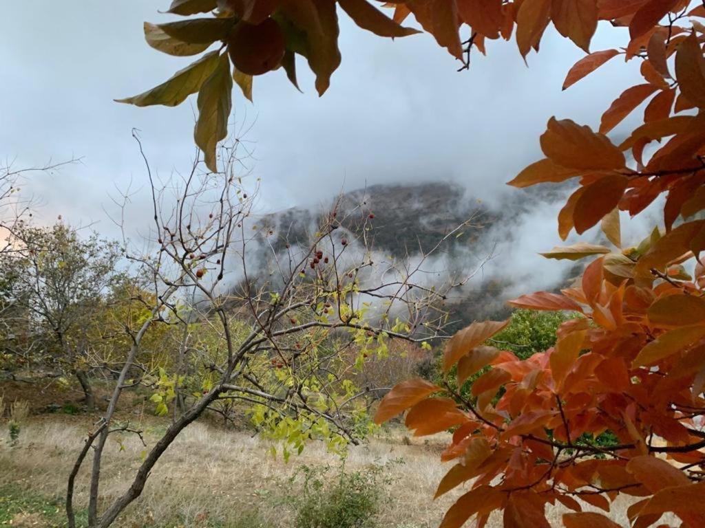 Вилла Cortijo Rural El Albercon - Capileira - Alpujarra Rural Экстерьер фото