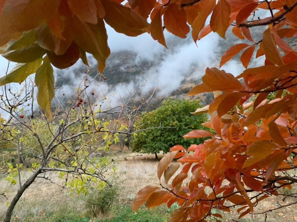 Вилла Cortijo Rural El Albercon - Capileira - Alpujarra Rural Экстерьер фото