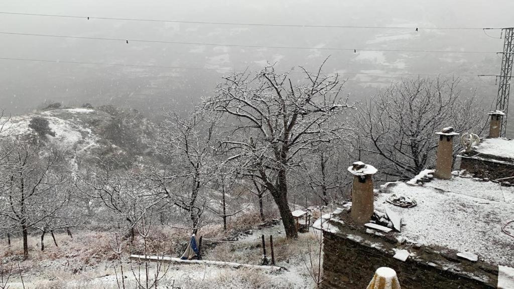 Вилла Cortijo Rural El Albercon - Capileira - Alpujarra Rural Экстерьер фото