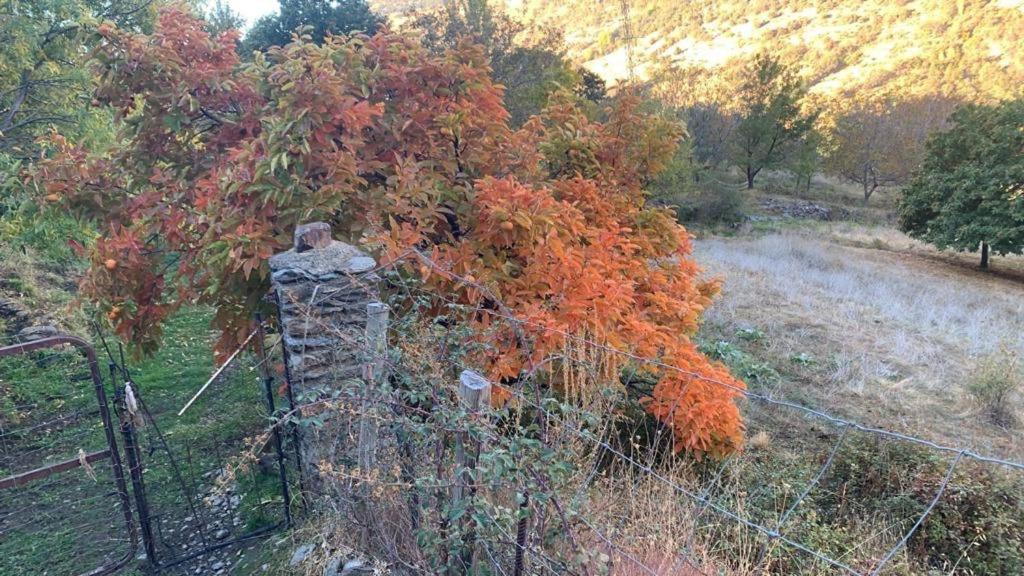 Вилла Cortijo Rural El Albercon - Capileira - Alpujarra Rural Экстерьер фото